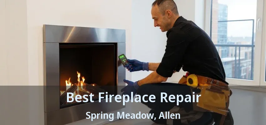 Best Fireplace Repair Spring Meadow, Allen - TX