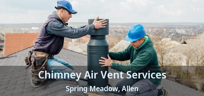 Chimney Air Vent Services Spring Meadow, Allen - TX