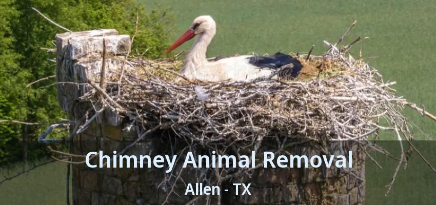 Chimney Animal Removal Allen - TX