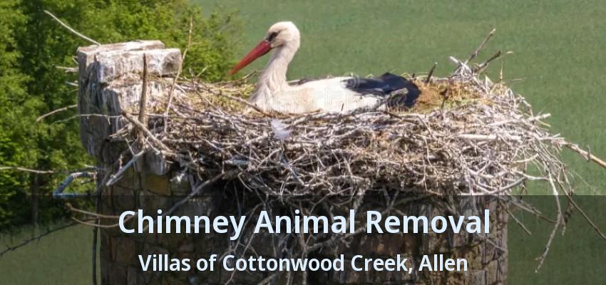 Chimney Animal Removal Villas of Cottonwood Creek, Allen - TX