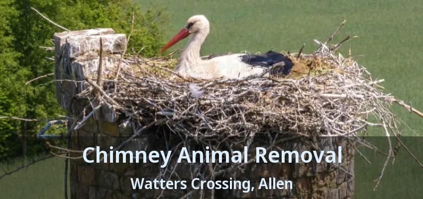 Chimney Animal Removal Watters Crossing, Allen - TX
