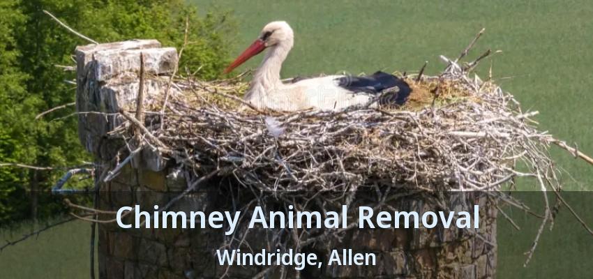 Chimney Animal Removal Windridge, Allen - TX