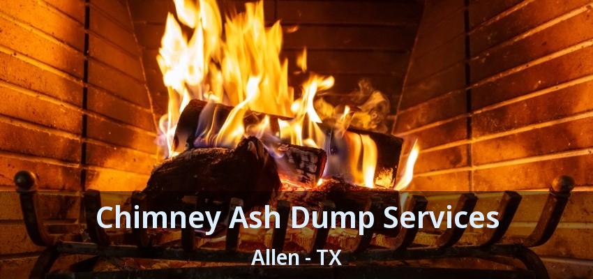Chimney Ash Dump Services Allen - TX