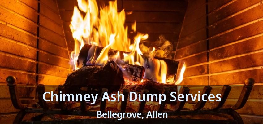 Chimney Ash Dump Services Bellegrove, Allen - TX