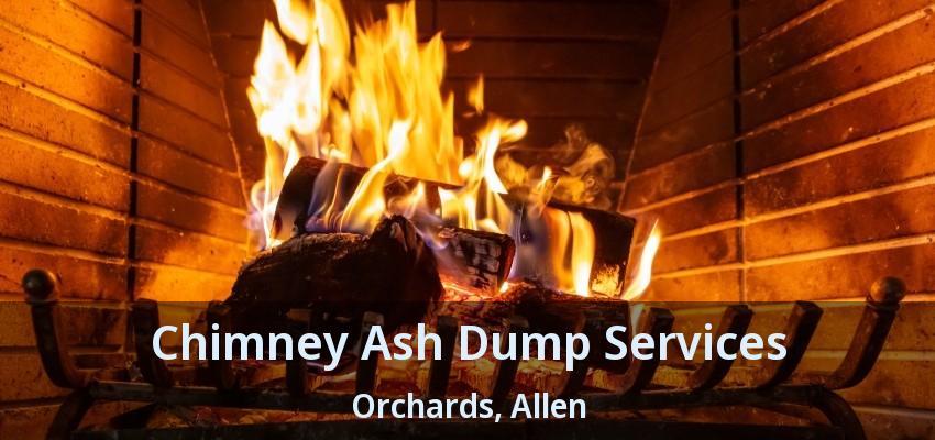 Chimney Ash Dump Services Orchards, Allen - TX