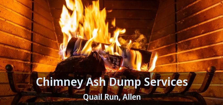Chimney Ash Dump Services Quail Run, Allen - TX