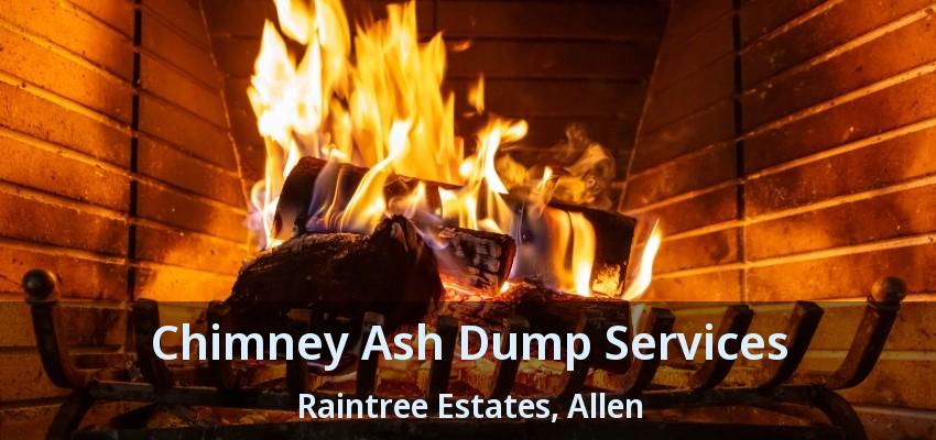Chimney Ash Dump Services Raintree Estates, Allen - TX