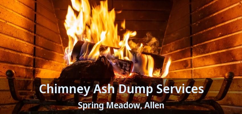 Chimney Ash Dump Services Spring Meadow, Allen - TX