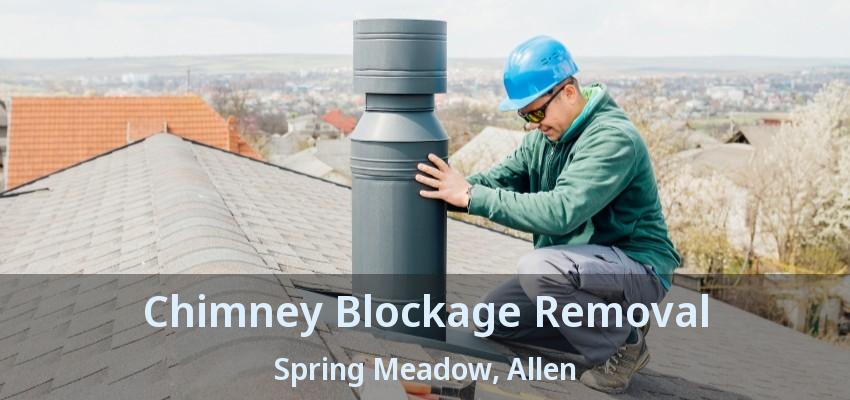Chimney Blockage Removal Spring Meadow, Allen - TX
