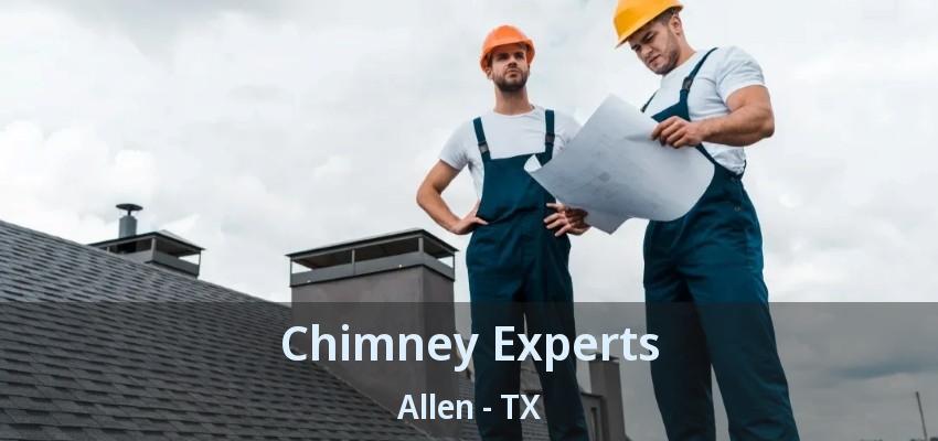 Chimney Experts Allen - TX