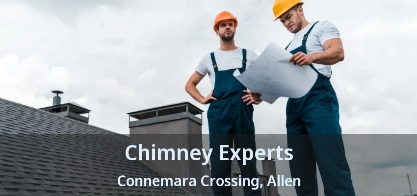 Chimney Experts Connemara Crossing, Allen - TX
