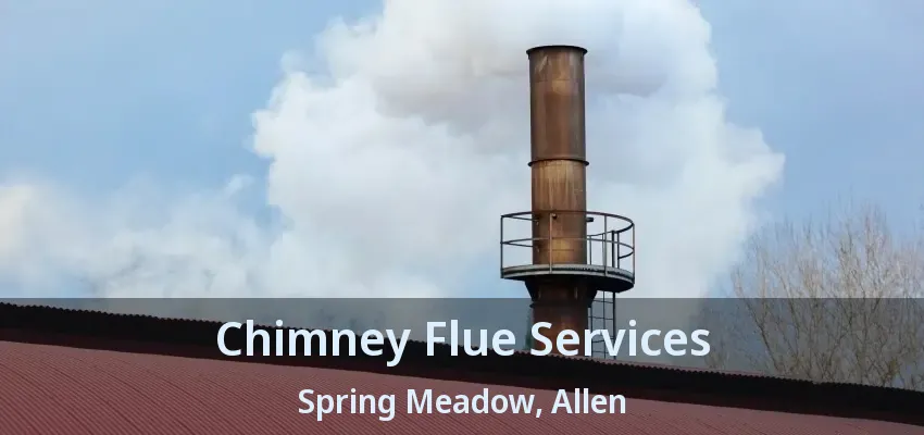 Chimney Flue Services Spring Meadow, Allen - TX