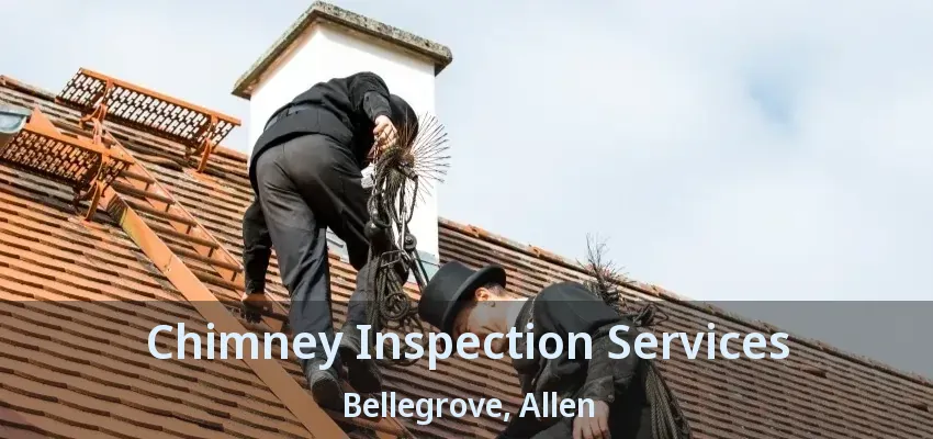 Chimney Inspection Services Bellegrove, Allen - TX