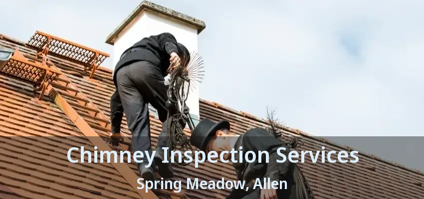 Chimney Inspection Services Spring Meadow, Allen - TX