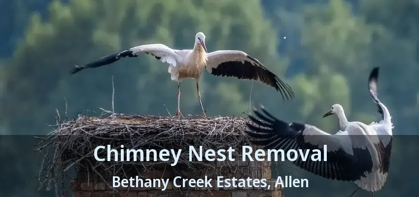 Chimney Nest Removal Bethany Creek Estates, Allen - TX
