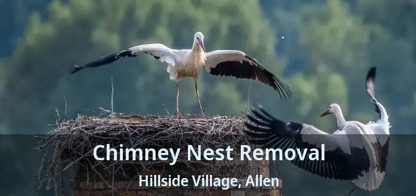 Chimney Nest Removal Hillside Village, Allen - TX