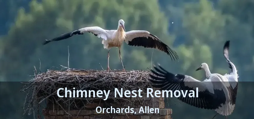 Chimney Nest Removal Orchards, Allen - TX