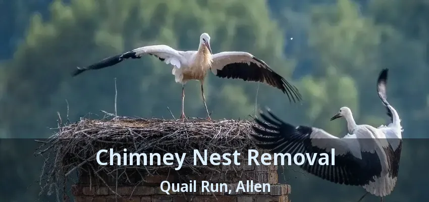 Chimney Nest Removal Quail Run, Allen - TX