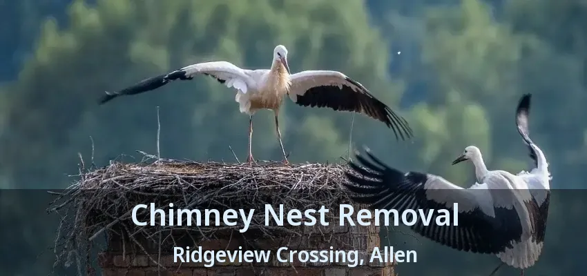 Chimney Nest Removal Ridgeview Crossing, Allen - TX
