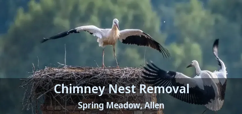 Chimney Nest Removal Spring Meadow, Allen - TX
