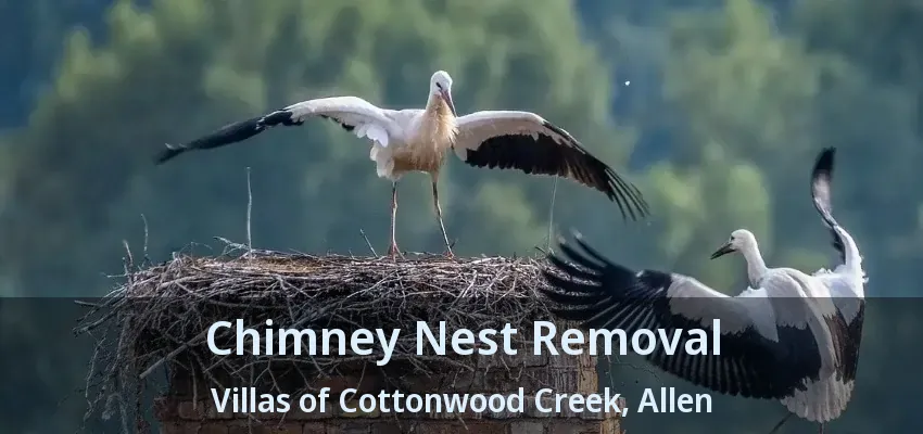 Chimney Nest Removal Villas of Cottonwood Creek, Allen - TX