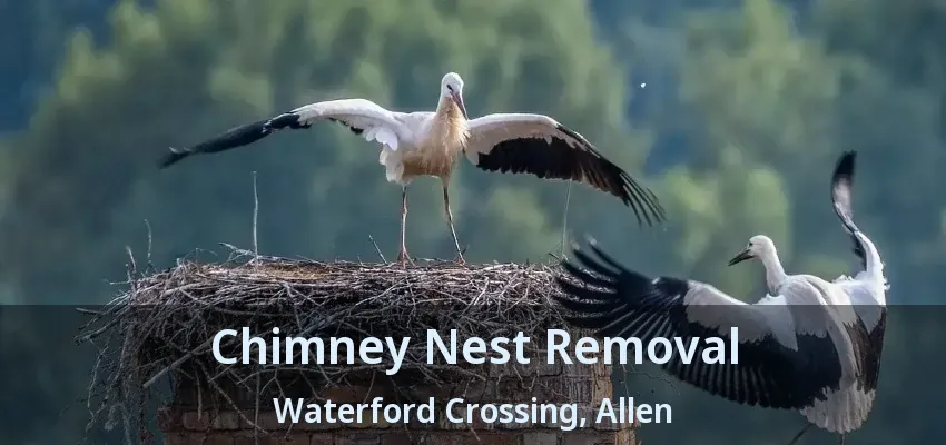 Chimney Nest Removal Waterford Crossing, Allen - TX