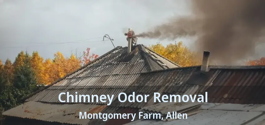 Chimney Odor Removal Montgomery Farm, Allen - TX