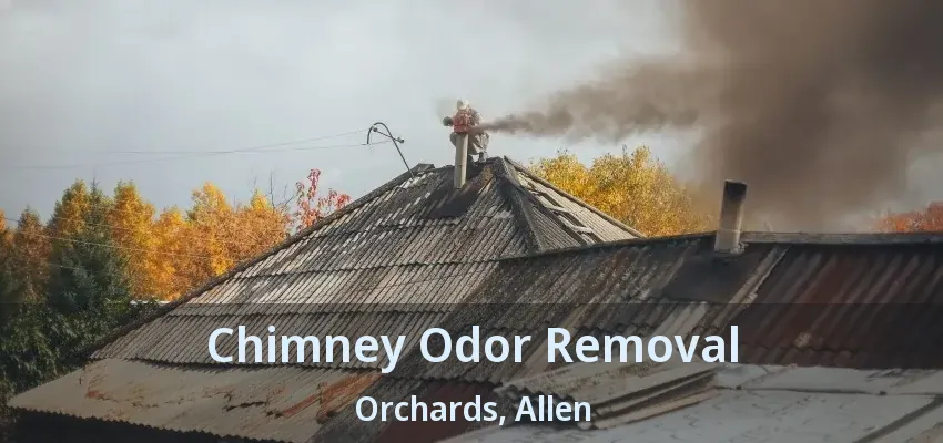Chimney Odor Removal Orchards, Allen - TX