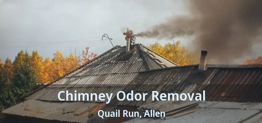 Chimney Odor Removal Quail Run, Allen - TX