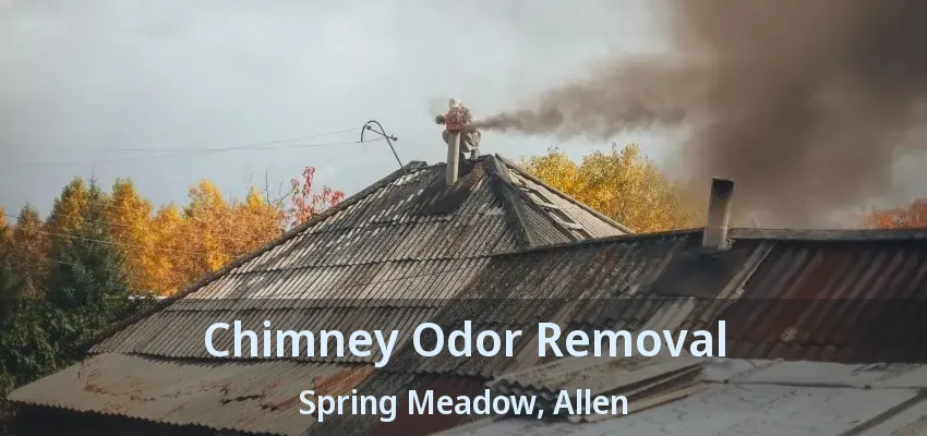 Chimney Odor Removal Spring Meadow, Allen - TX