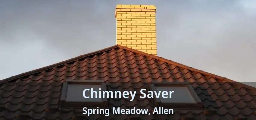 Chimney Saver Spring Meadow, Allen - TX
