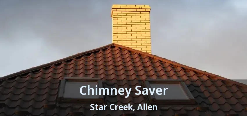 Chimney Saver Star Creek, Allen - TX