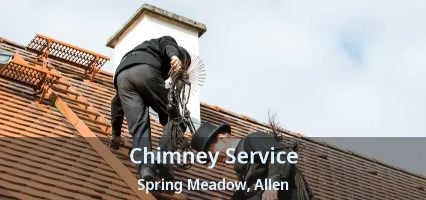 Chimney Service Spring Meadow, Allen - TX