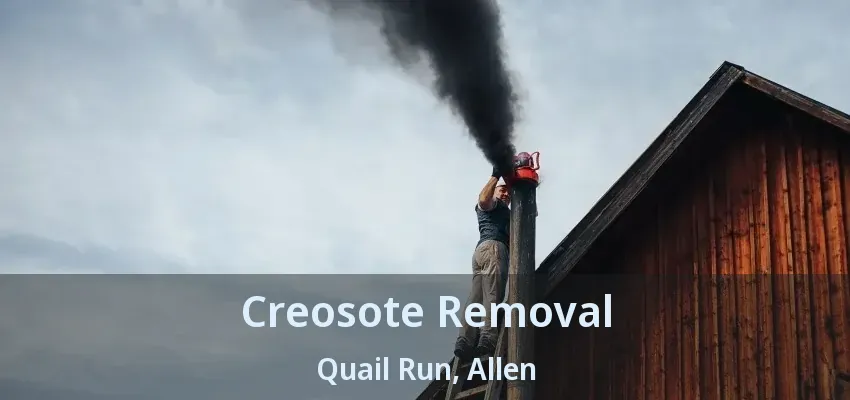 Creosote Removal Quail Run, Allen - TX