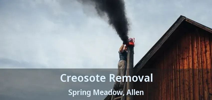 Creosote Removal Spring Meadow, Allen - TX