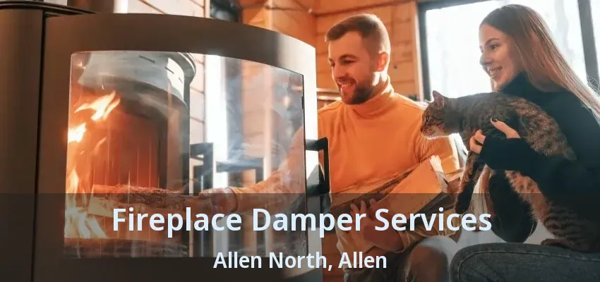 Fireplace Damper Services Allen North, Allen - TX