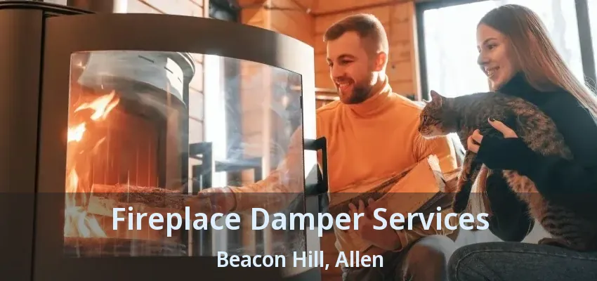 Fireplace Damper Services Beacon Hill, Allen - TX