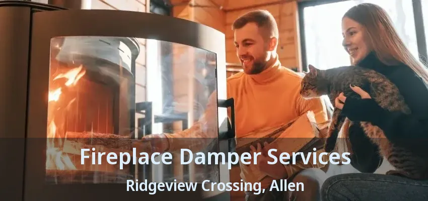 Fireplace Damper Services Ridgeview Crossing, Allen - TX