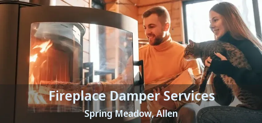 Fireplace Damper Services Spring Meadow, Allen - TX