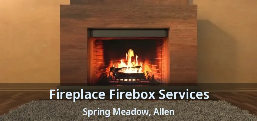 Fireplace Firebox Services Spring Meadow, Allen - TX