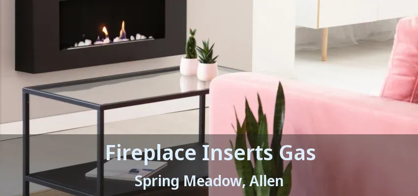 Fireplace Inserts Gas Spring Meadow, Allen - TX