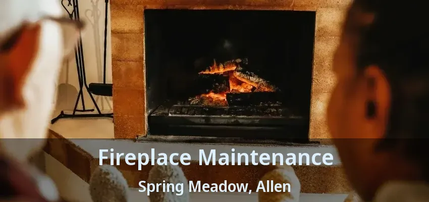 Fireplace Maintenance Spring Meadow, Allen - TX