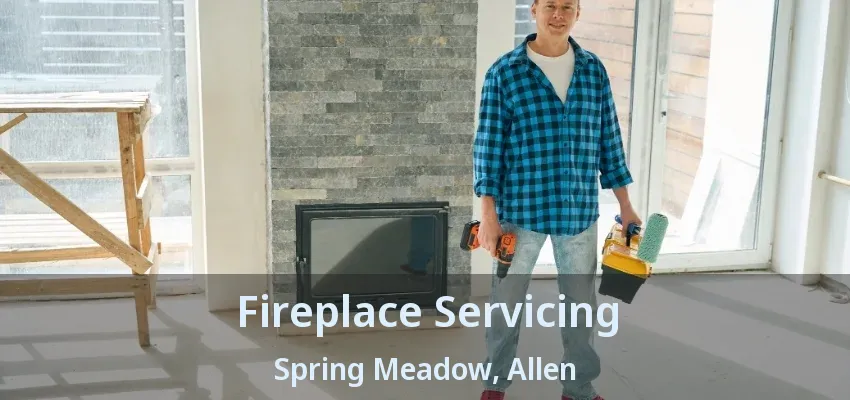 Fireplace Servicing Spring Meadow, Allen - TX