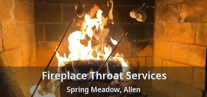 Fireplace Throat Services Spring Meadow, Allen - TX