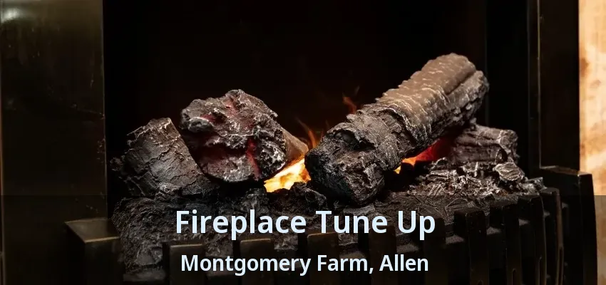 Fireplace Tune Up Montgomery Farm, Allen - TX