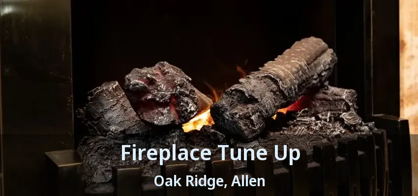 Fireplace Tune Up Oak Ridge, Allen - TX