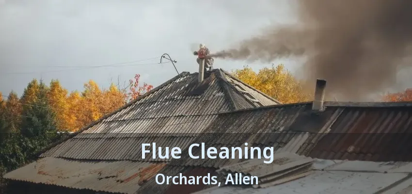 Flue Cleaning Orchards, Allen - TX