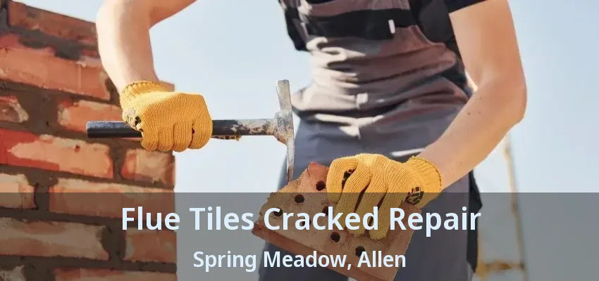 Flue Tiles Cracked Repair Spring Meadow, Allen - TX