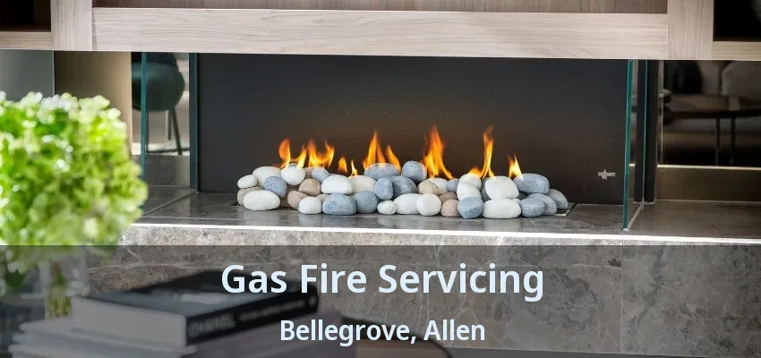 Gas Fire Servicing Bellegrove, Allen - TX