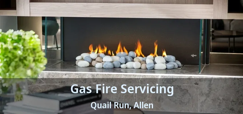 Gas Fire Servicing Quail Run, Allen - TX